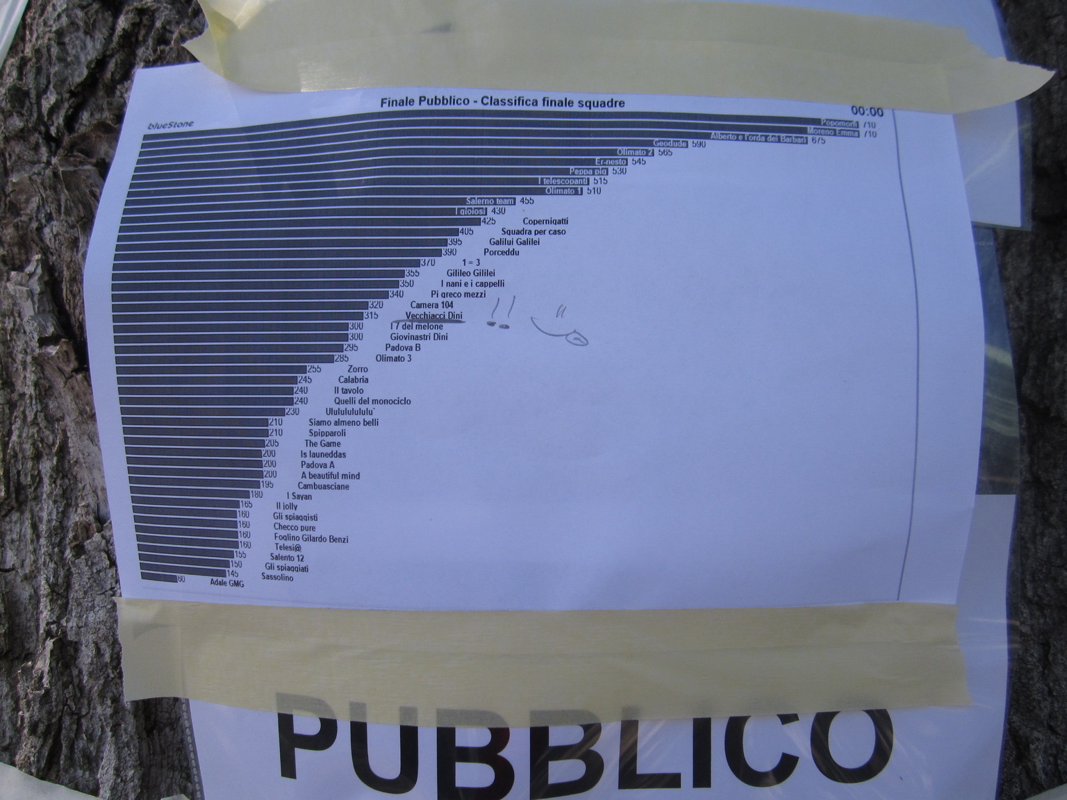 Gara del pubblico