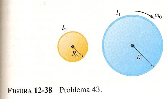 43p_pag271.JPG