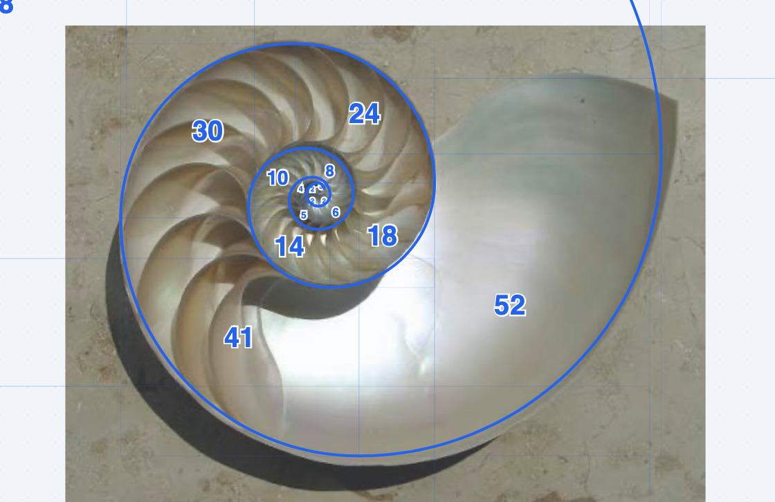spirale 2
